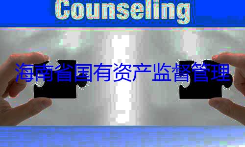 有福接受审资产监督管查调查海南省国有理委员会党委副书记王